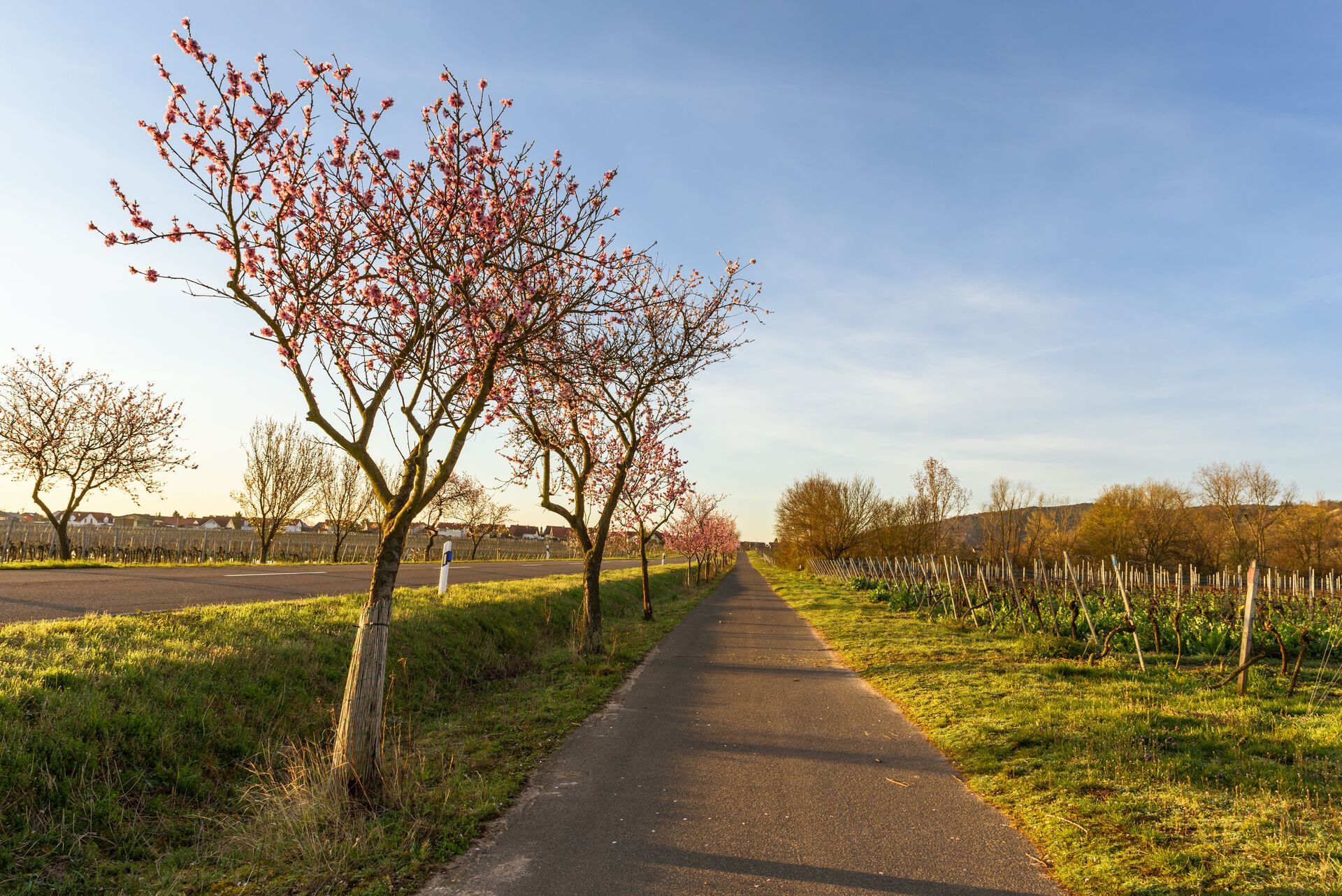 JUFA Hotel Bernkastel-Kues