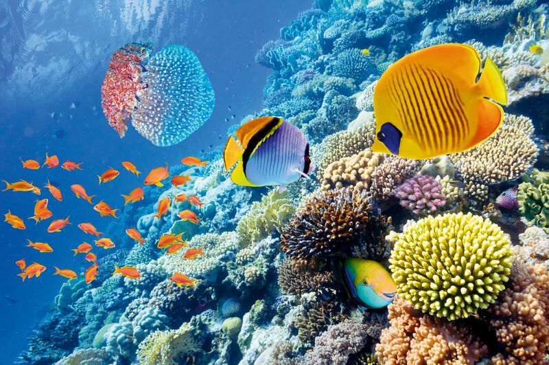 Langzeiturlaub im Paradise Abu Soma Resort