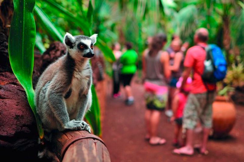 R2 Rio Calma inkl. Eintritt in den Oasis Wildlife Fuerteventura