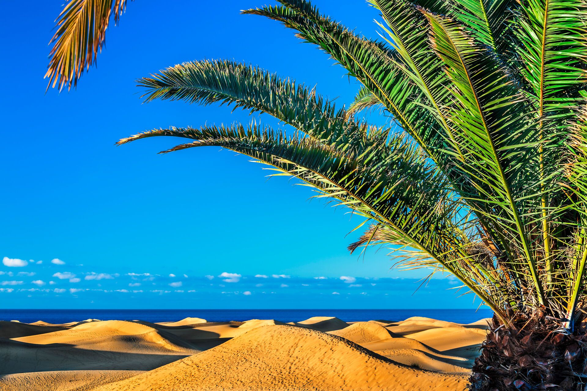 Lopesan Costa Meloneras Resort & Spa