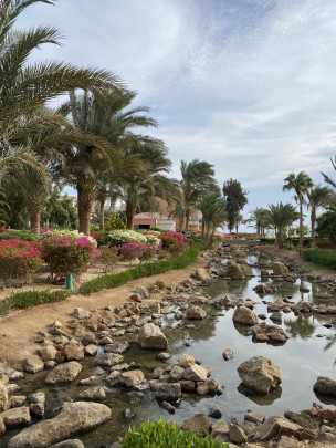 original 7435D883-BB34-44EC-95A8-758BE05D9AC4