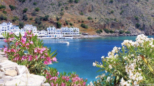 original ACED3D3A-60FB-41B6-B0E3-02E997ECCDCF