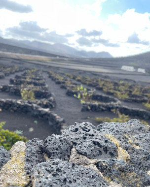 original 060B958F-228A-4D41-81A9-299D9E7A7A3E