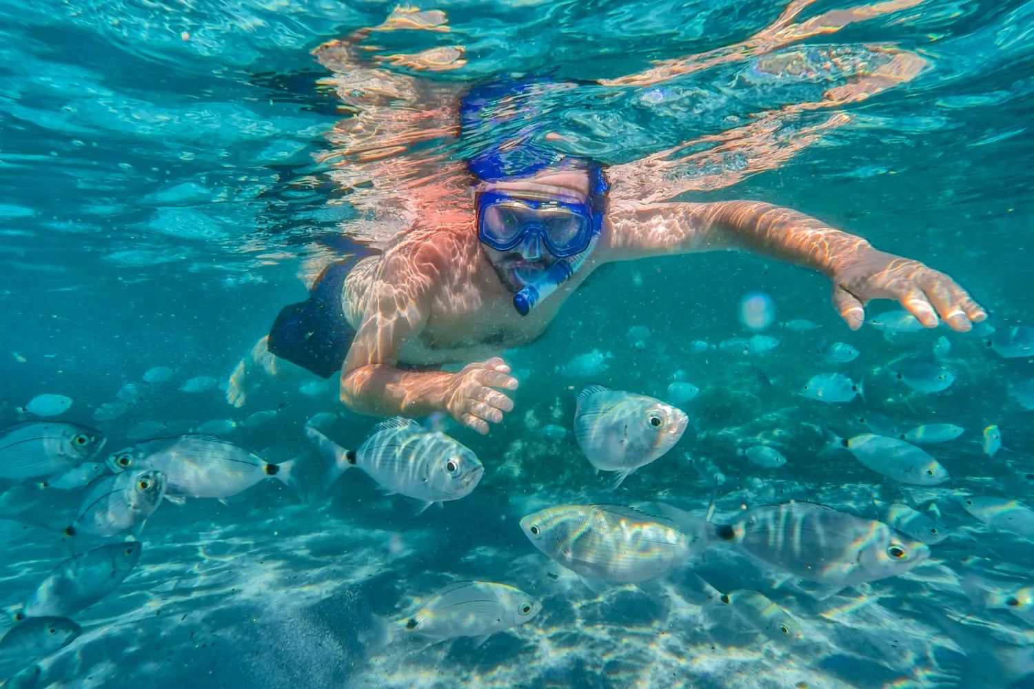 Schnorchler und Fische im klaren Mittelmeer