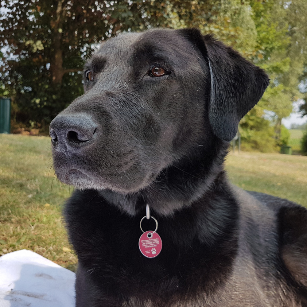 sonnenklar-reisebuero-gelsenkirchen-buer-benno-3