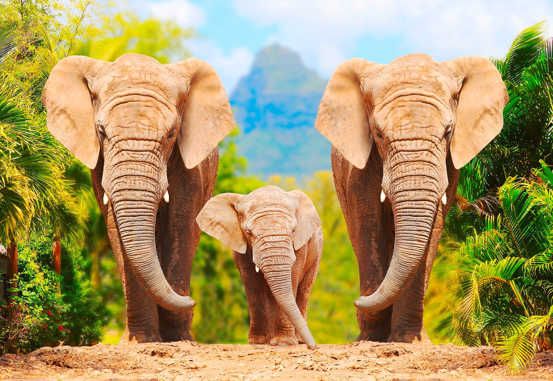 Tierparadies & Traumstrand: Südafrika mit Rovos Rail & Baden auf Mauritius im 4* Anelia Resort & Spa