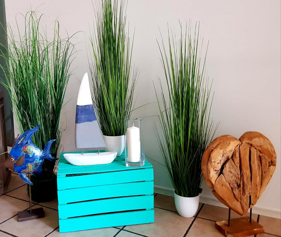 original_56345932_2610612135671650_3517502641179459584_n