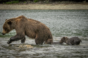 original Oscar-Farrera-20230711-009-Geographic-Harbour-Oscar-Farrera-24362945-Photo Oscar Farrera