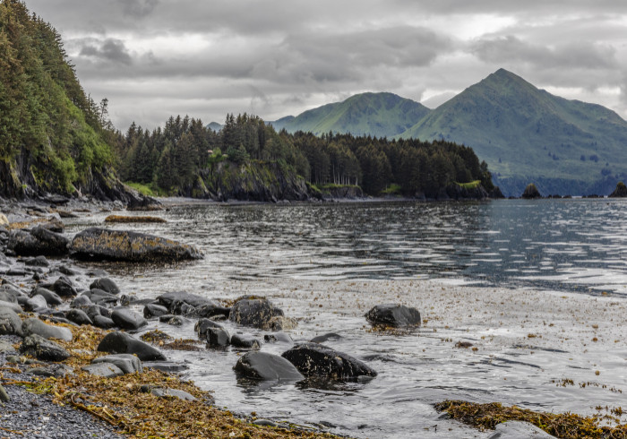 Alaska_Oscar-Farrera-20230810-001-Kodiak-Oscar-Farrera-24359321-Photo_Oscar_Farrera