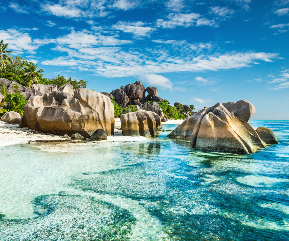 GettyImages-489432219 3478164 dic master