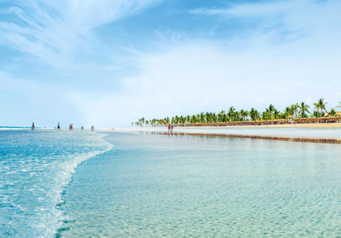 Salalah_1121889_dic_master_1_