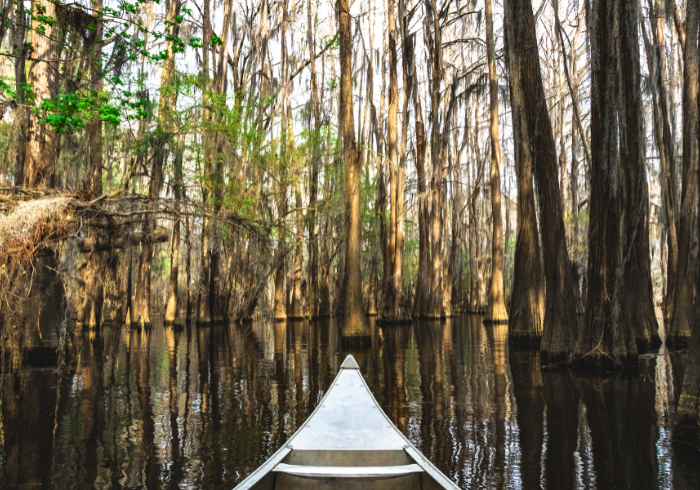 Texas_3er_Bilderreihe_11_