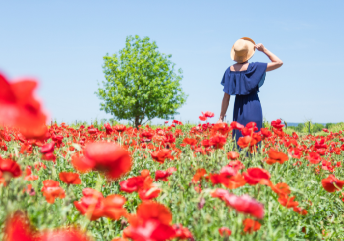 Texas_3er_Bilderreihe_2_