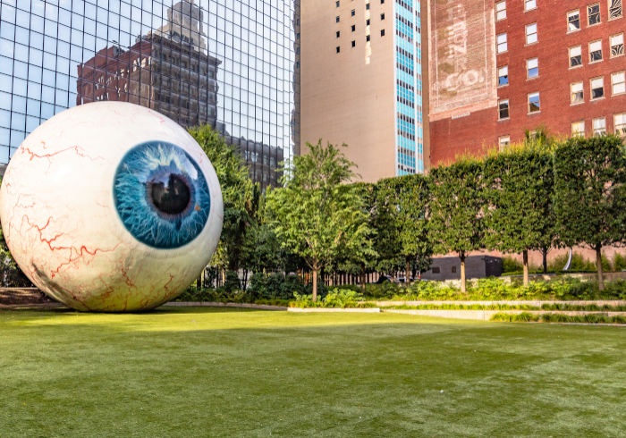 Dallas_Eye