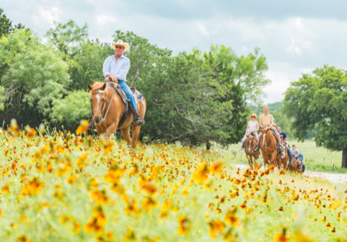 Texas_3er_Bilderreihe_1_