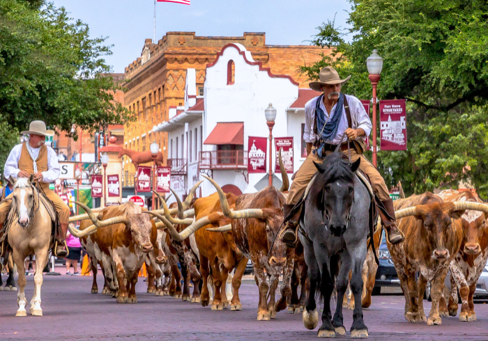 Texas_3er_Bilderreihe__1