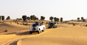 original Desertsafari