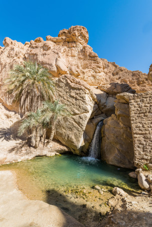 original Sud tunisien 2