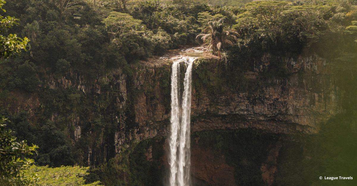 Grünes Inselherz Grünes Inselherz