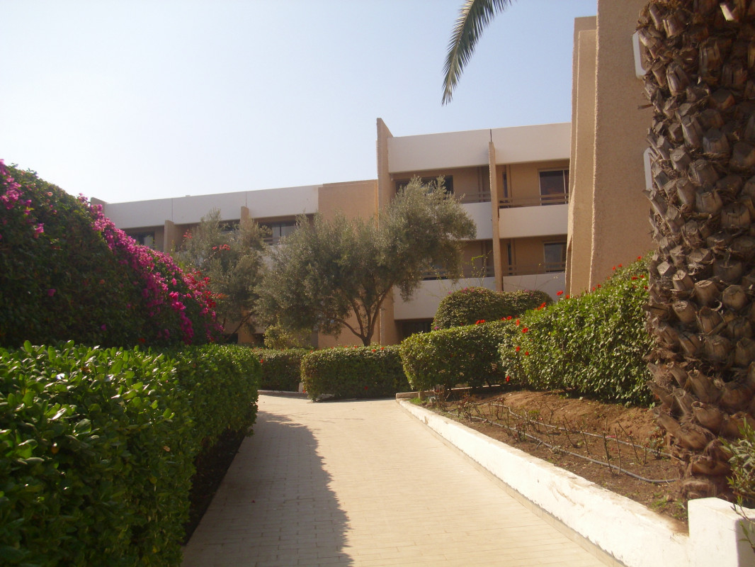 original_DSCI0363_-_Kopie