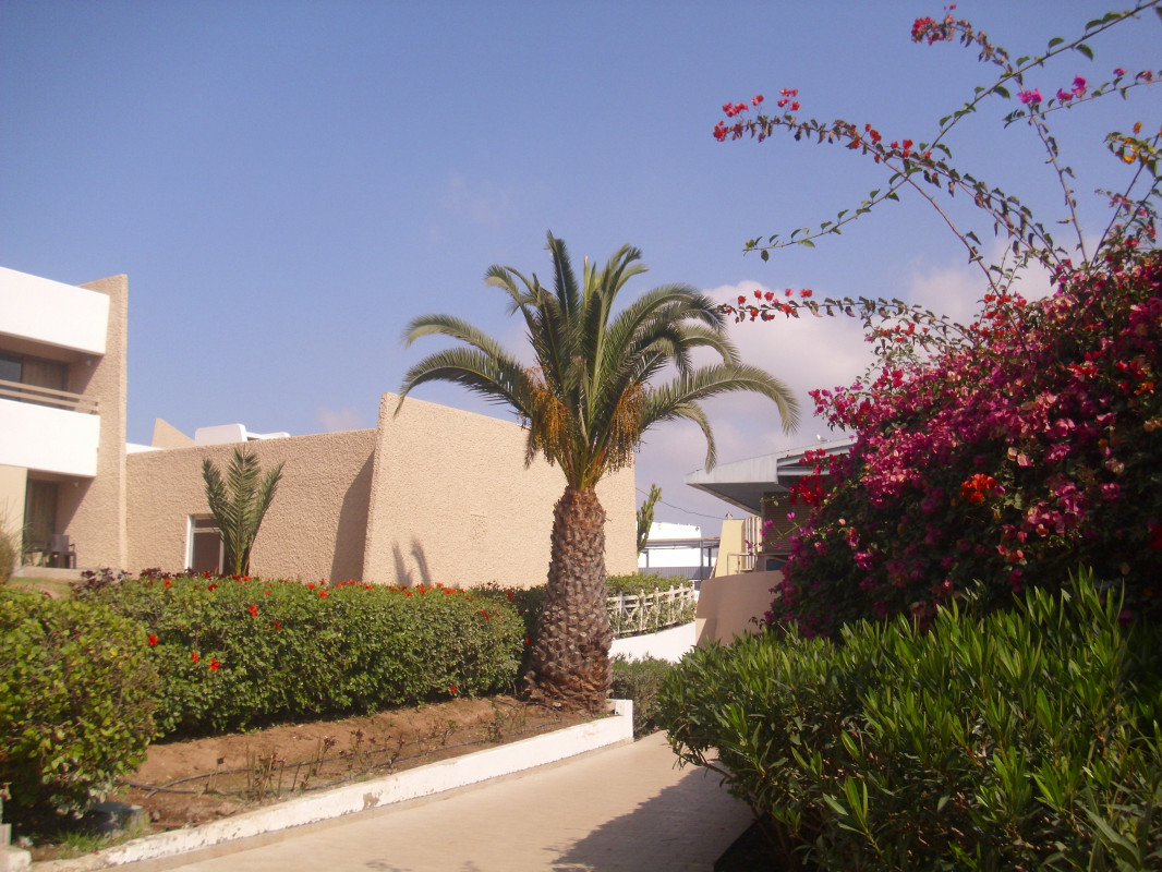 original_DSCI0364_-_Kopie