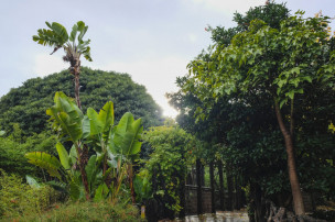 original costadelsol-3