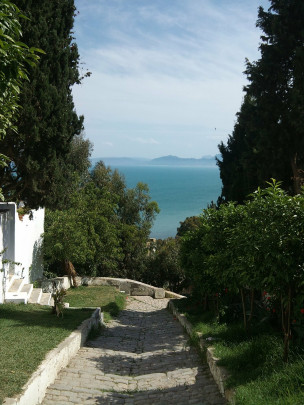 original pixabay tunesien 8