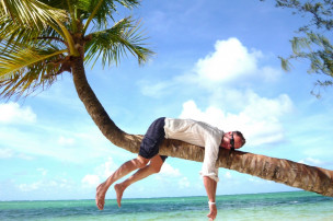 original DomRep009-e1412762649905