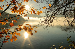 original Herbstlaub-Bodenseee-Deutschland
