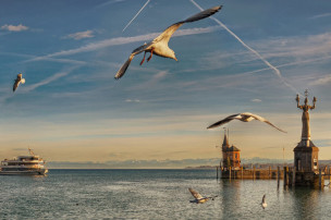 original Bodensee-Konstanz-Hafen