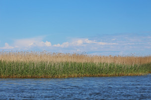 original pixabay mecklenburg 3