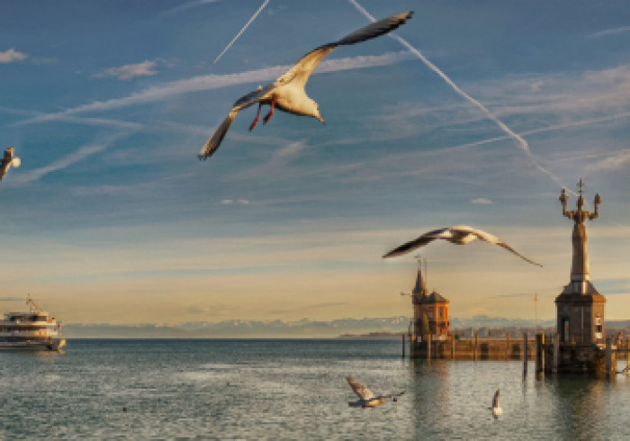 Bodensee-Konstanz-Hafen