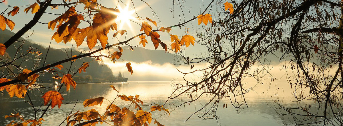 Herbstlaub Bodenseee Deutschland
