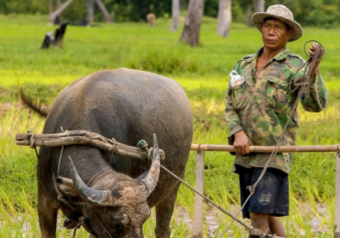 Kambodscha-Mekong-015-Reisbauer