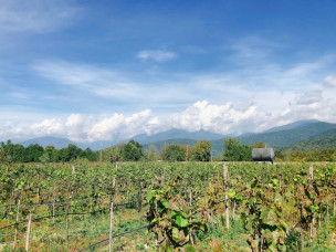 original IMG 5857-1024x768