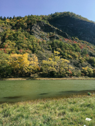 original IMG 4778-768x1024