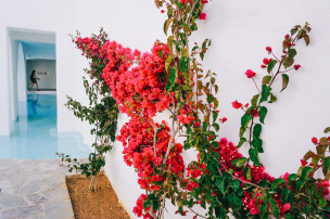 original Knossos-Beach-6