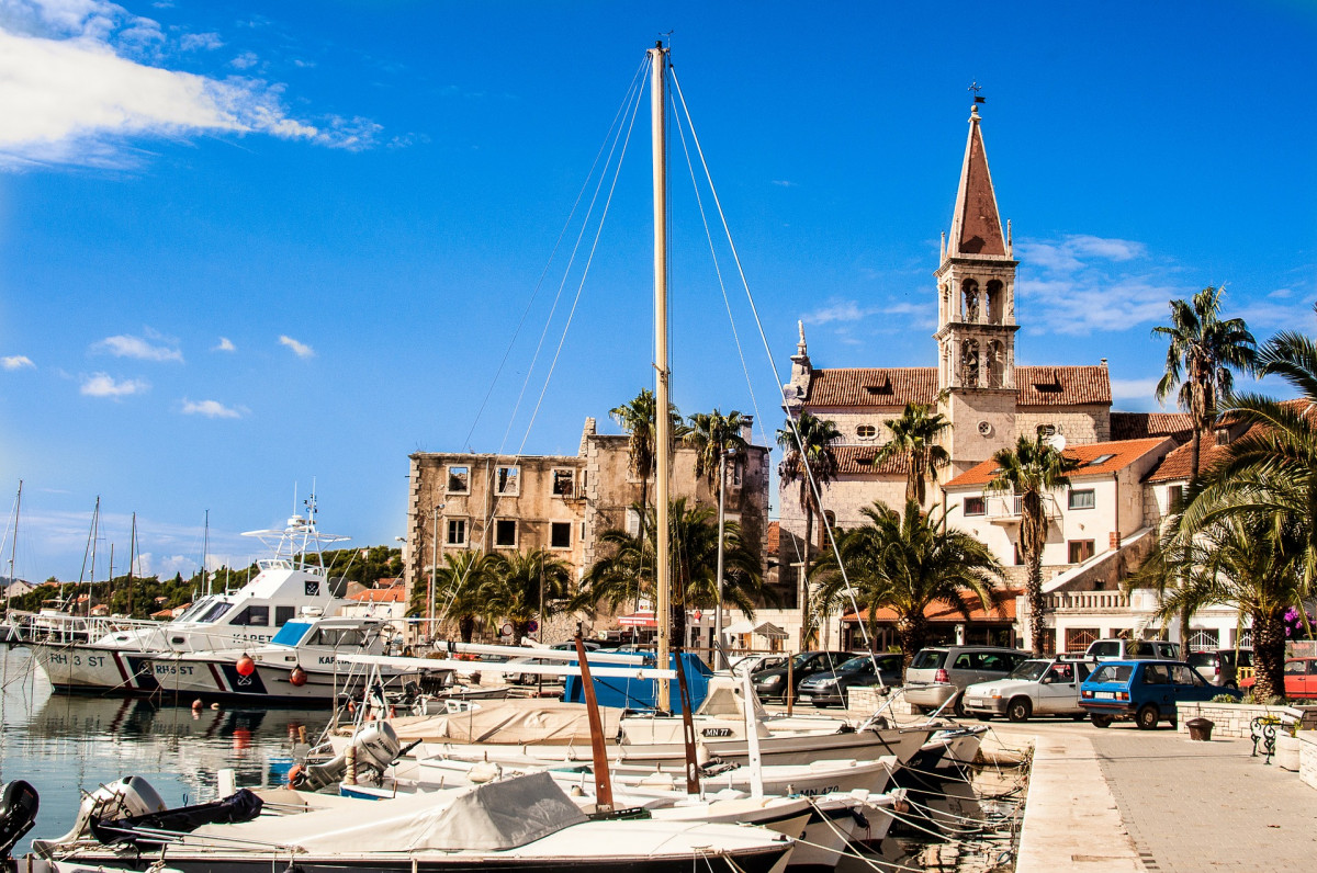 original_pixabay_brac_3