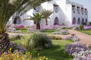 original Equinox Beach Marsa