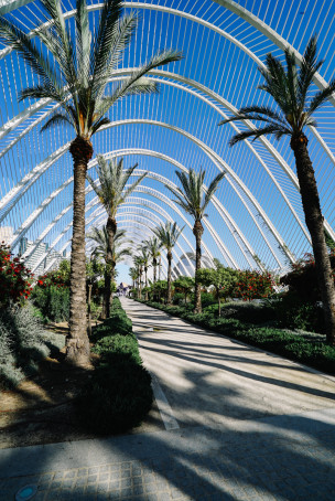 original SEA CLOUD 2 SMALL-96