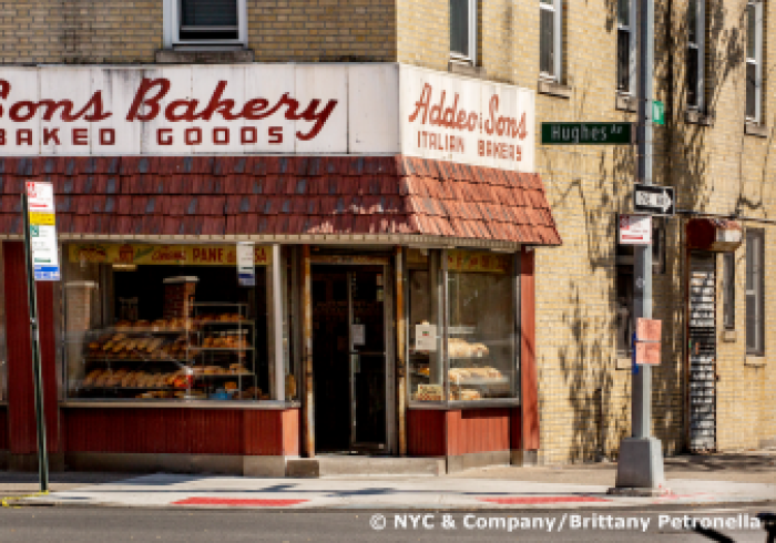 Editorial-Photography-photo-Brittany-Petronella-NYC-and-Company-X9A5740_Copyright_1