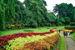 original Sri-Lanka-AuswahlDSC03099