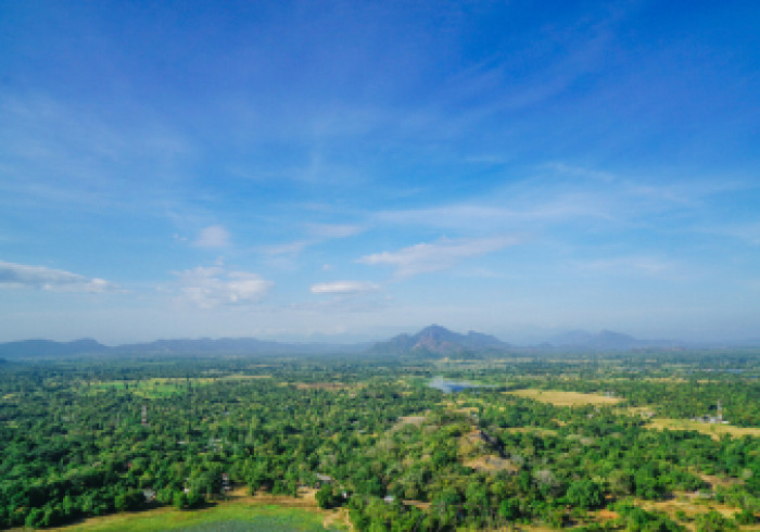 Sri-Lanka-AuswahlDSC03446_1_