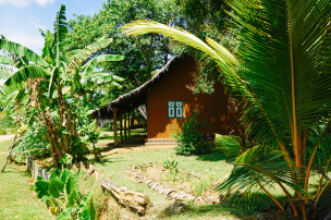 original Sri-Lanka-AuswahlDSC03453