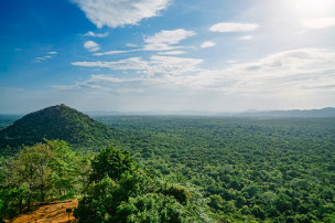 original Sri-Lanka-AuswahlDSC03433