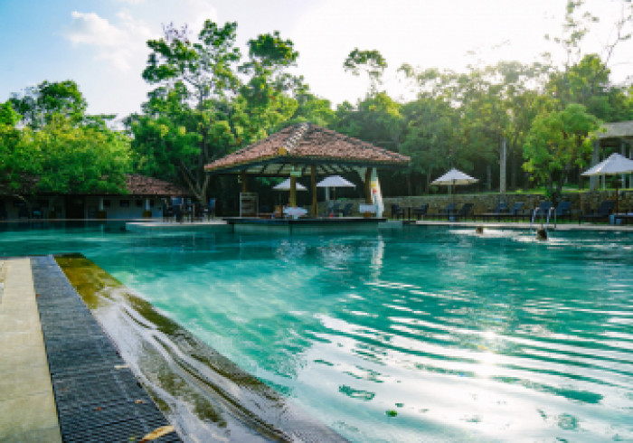 Sri-Lanka-AuswahlDSC03411