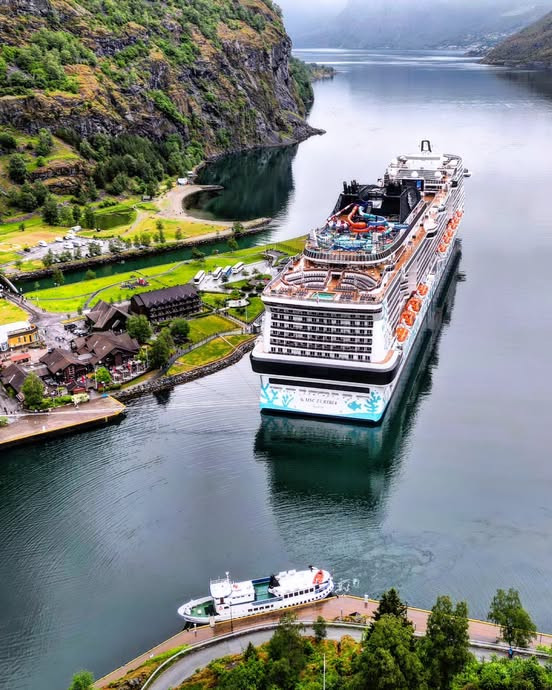 original_MSC_Euribia_Geiranger_3