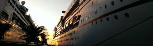 Kreuzfahrt-Palmen-2095x640