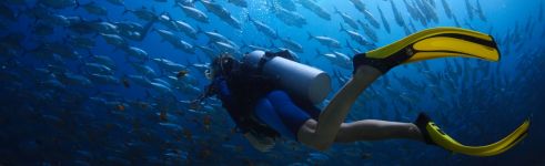 tauchen-Aegypten-marsa-alam